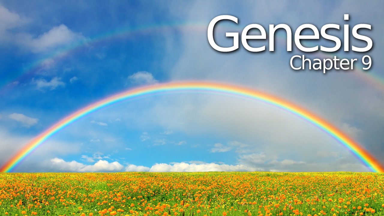 Genesis 9 - Verse by Verse
